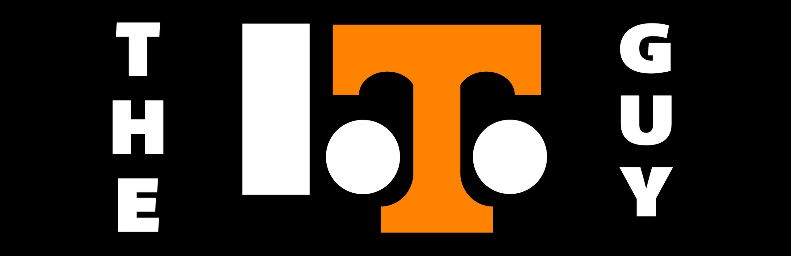 The I.T. Guy logo